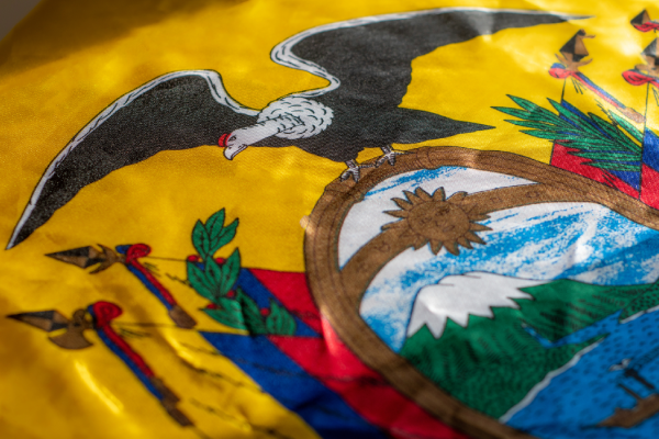 Derecho constitucional